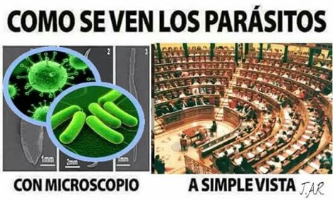 Parásitos película